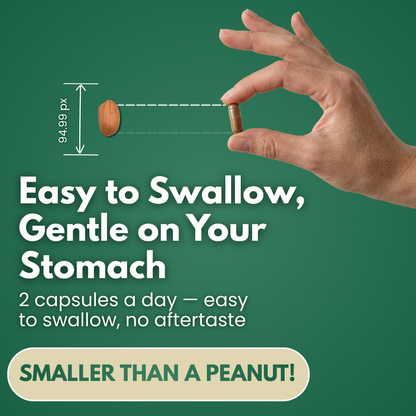 NeuroGuard 10 in 1 Mushroom Complex