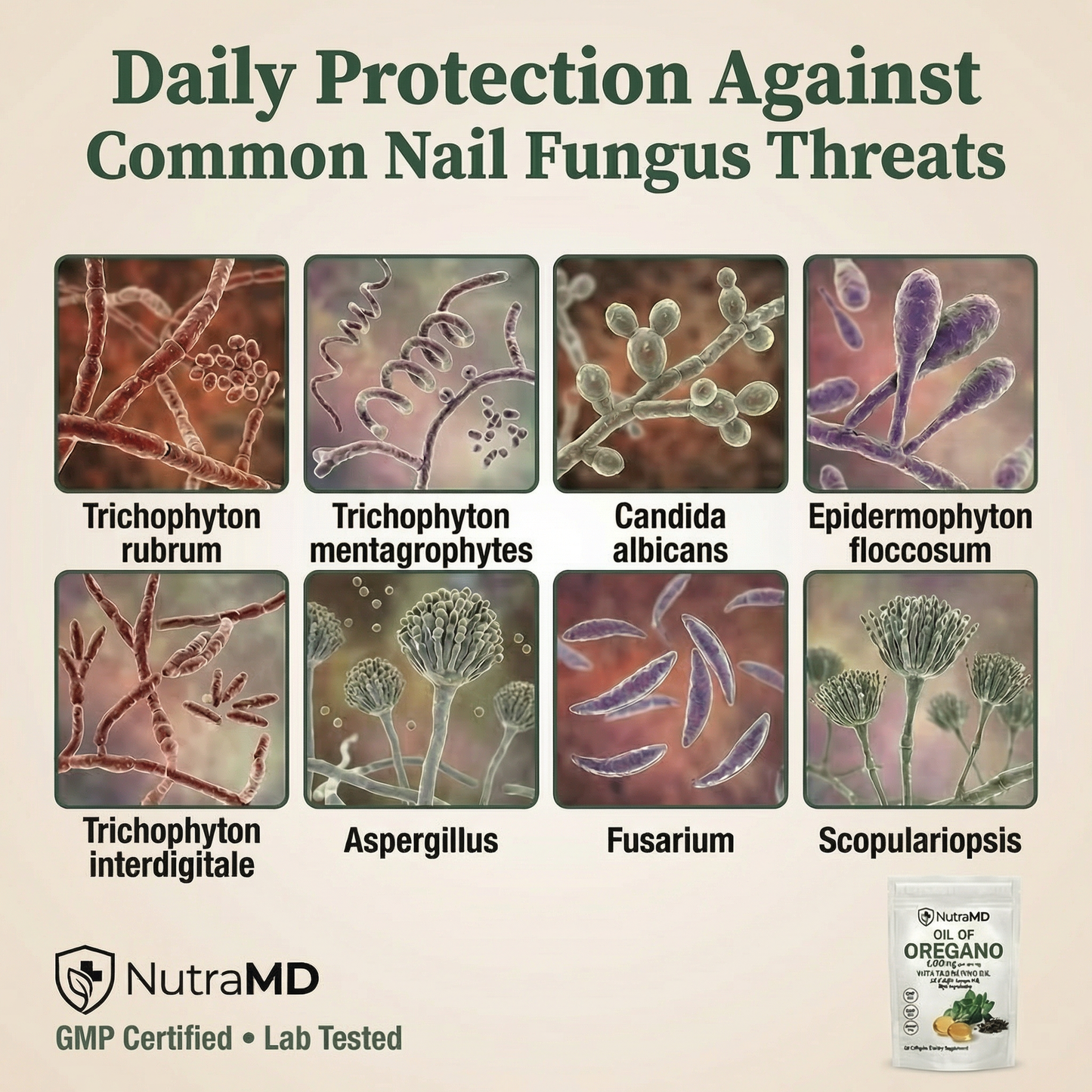 NutraMD® Clear Nail Formula